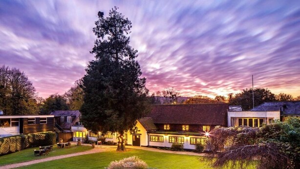 A traditional building with a well-maintained lawn, a large tree, and a clear sky. - Sunday Box Hill Burford Bridge - Classic Twin Room (London)