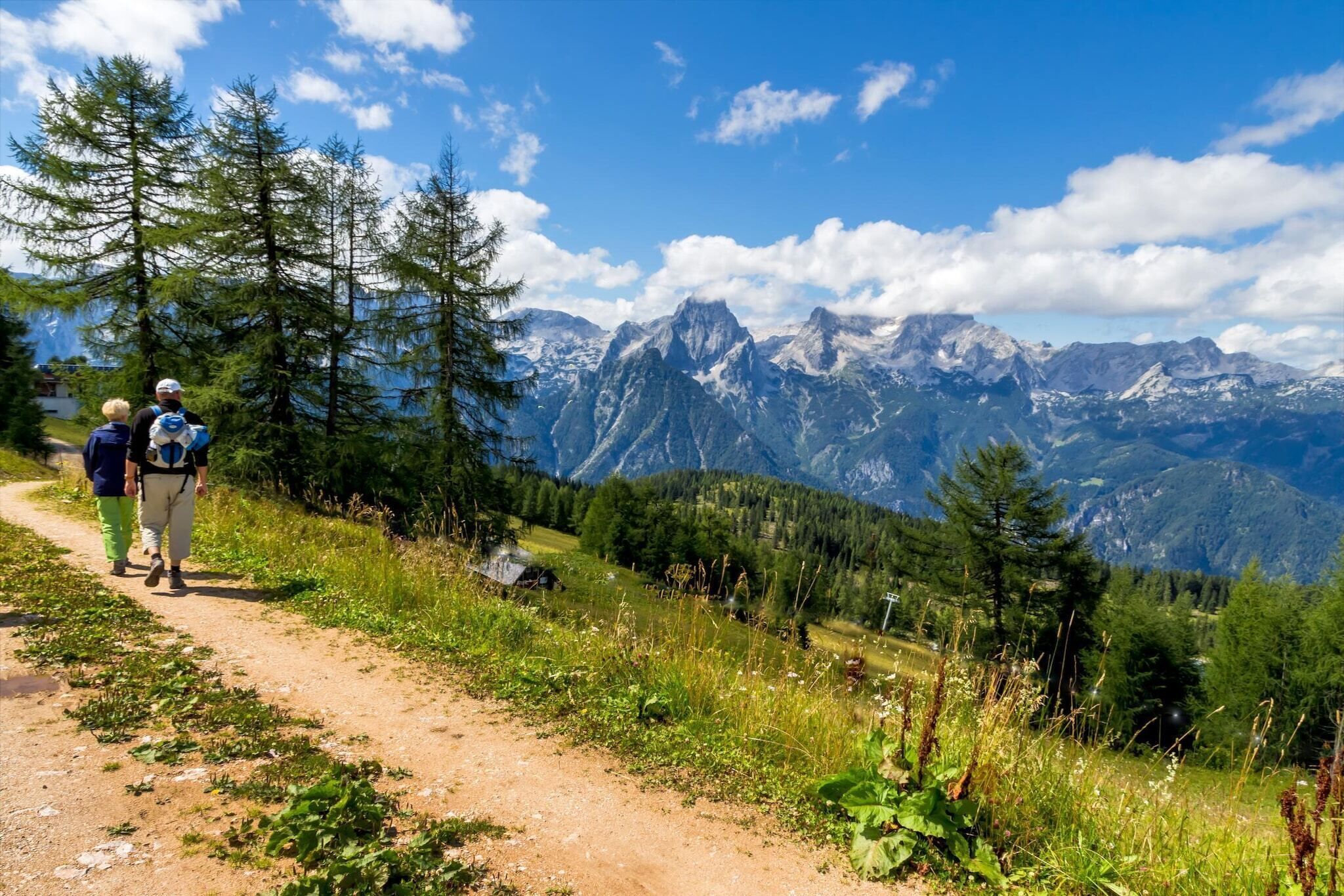 A mountain path with two people walking, surrounded by trees and mountains in the background.