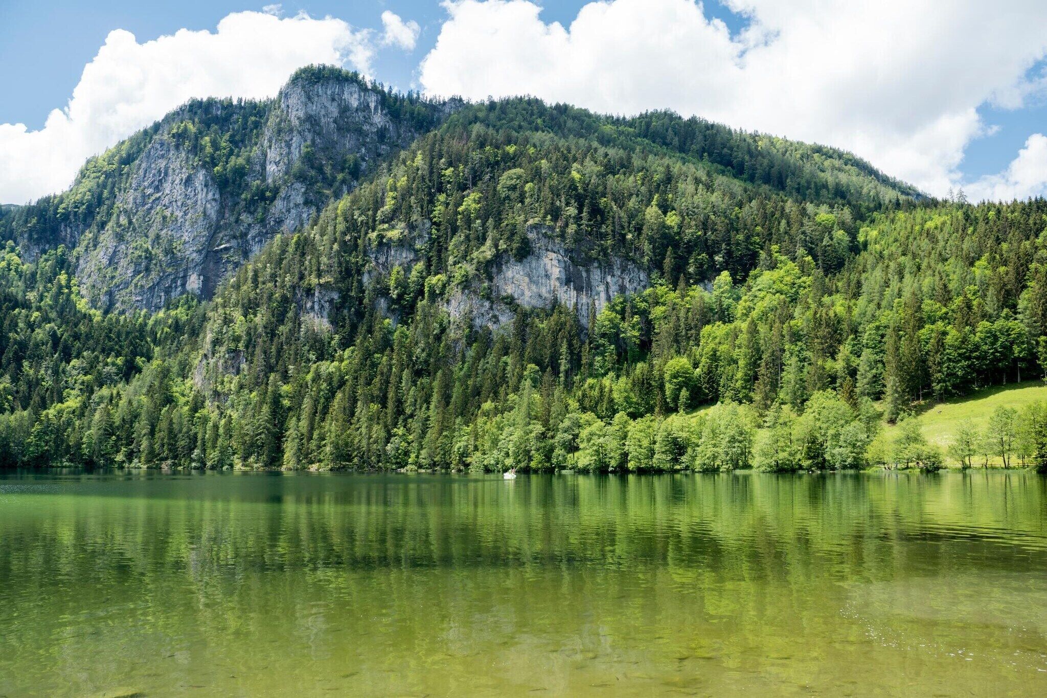 A mountain landscape with a lake, dense forest, and a clear sky.