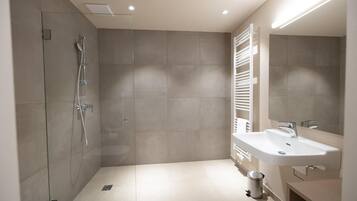 Shower, hair dryer