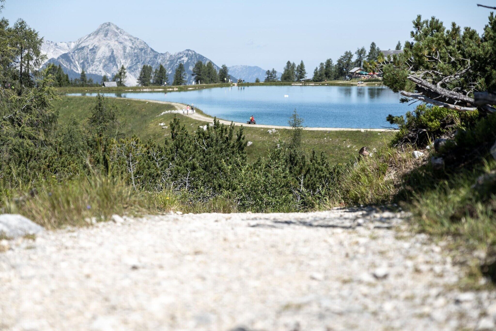 A lake surrounded by mountains, a dirt path, and sparse vegetation.