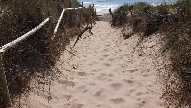 A sandy beach path leading to the ocean with a clear sky.