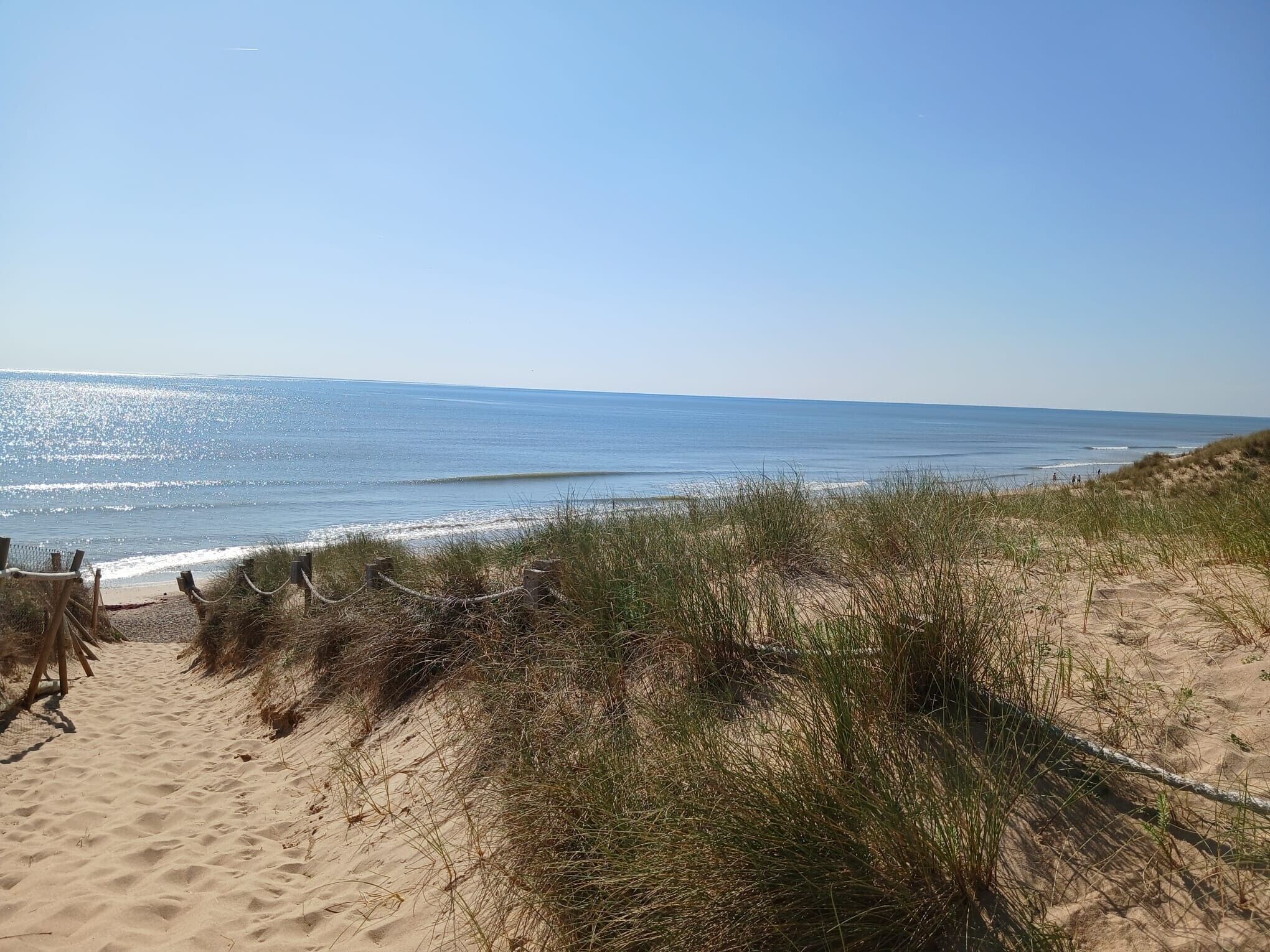 En sandstrand med klitter og et klart havudsyn.