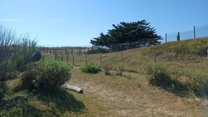 A fenced outdoor area with a large coniferous tree, a grassy hill, and a clear blue sky.