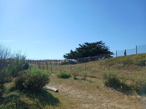 Ein eingezäuntes Areal im Freien mit einer großen Nadelbaum, einem grasbewachsen Hügel und blauem Himmel.