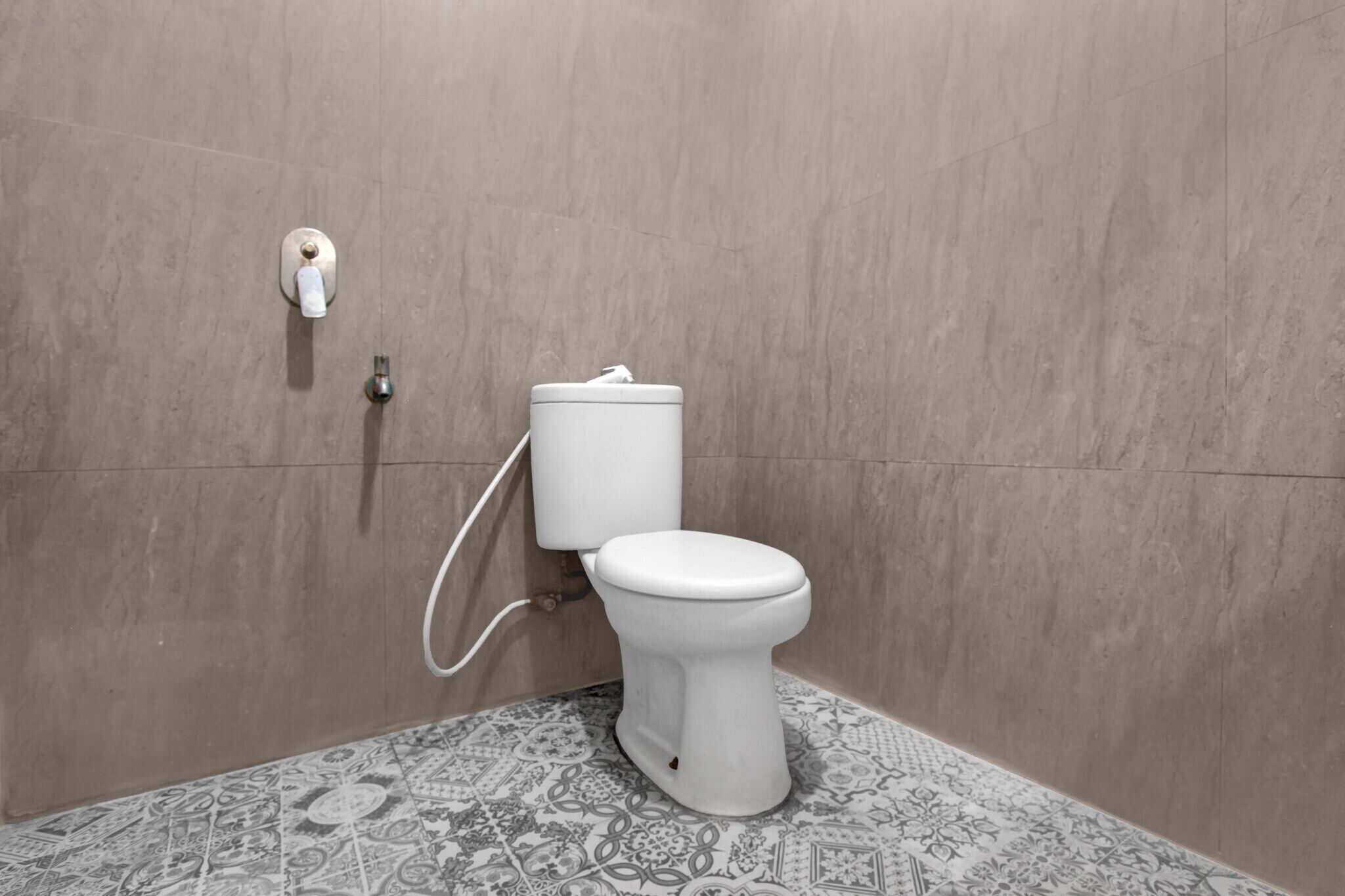 Kylpyhuone, jossa on wc, seinään kiinnitetty huuhtelupainike ja kuvioitu lattialaatoitus.