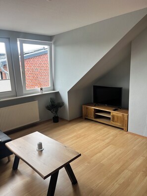Un saló modern amb sòl de fusta, un televisor sobre un suport de fusta, un radiador, una finestra amb vista a un edifici de maó i una petita planta.