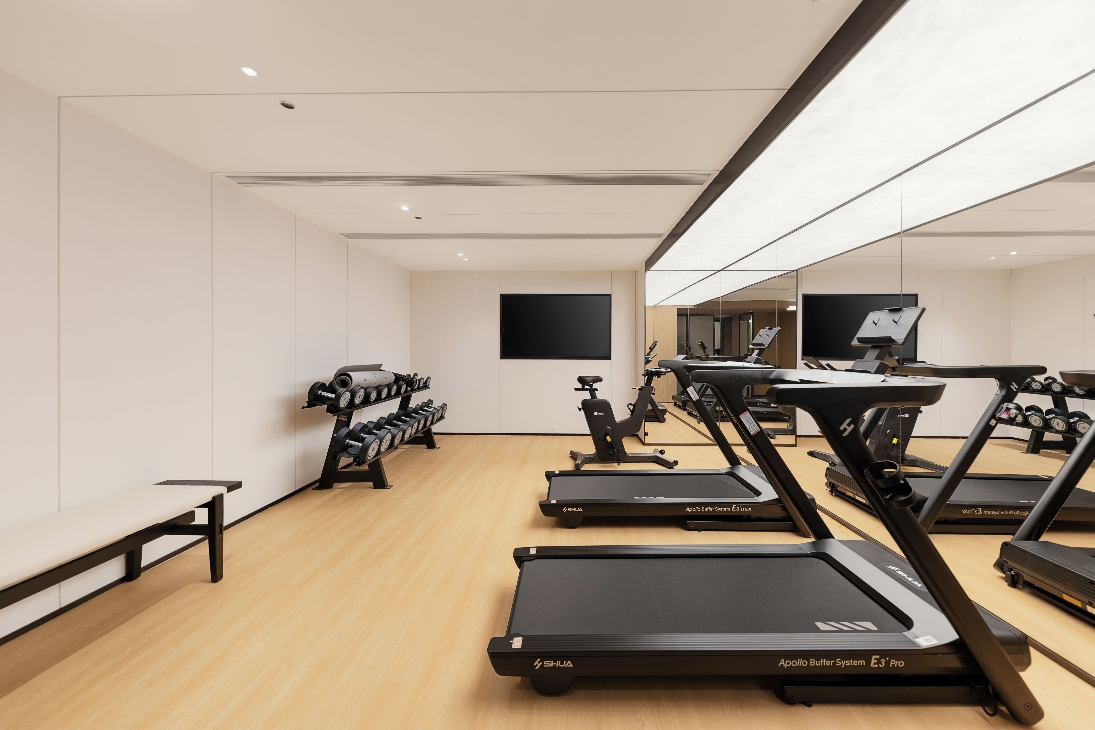 A gym with multiple treadmills, dumbbells, and exercise equipment.