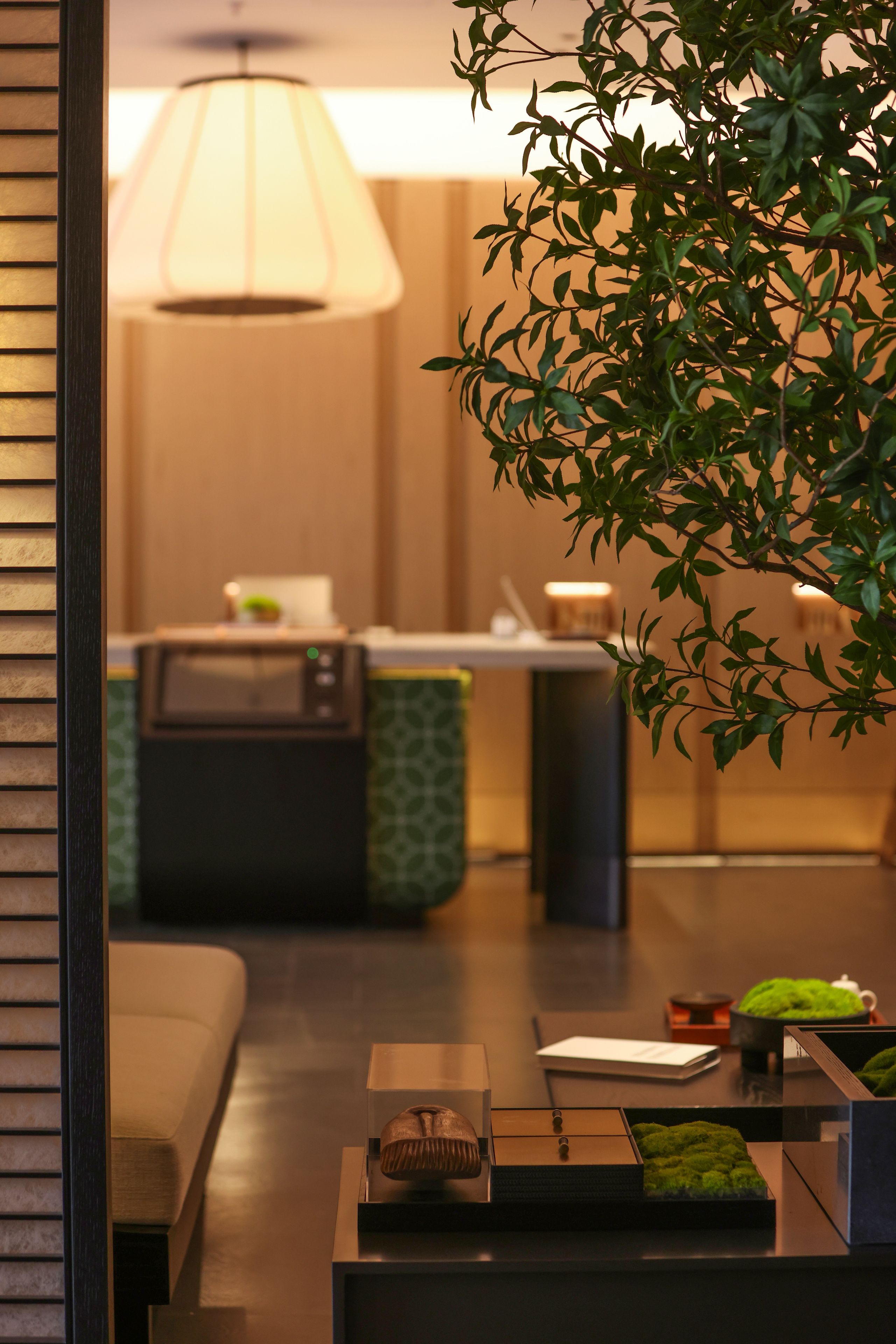 A modern interior with a sofa, a coffee table with a plant, and a kitchen area in the background.