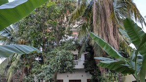 Ein zweistöckiges Gebäude mit Balkon, umgeben von dichtem tropischen Grün.
