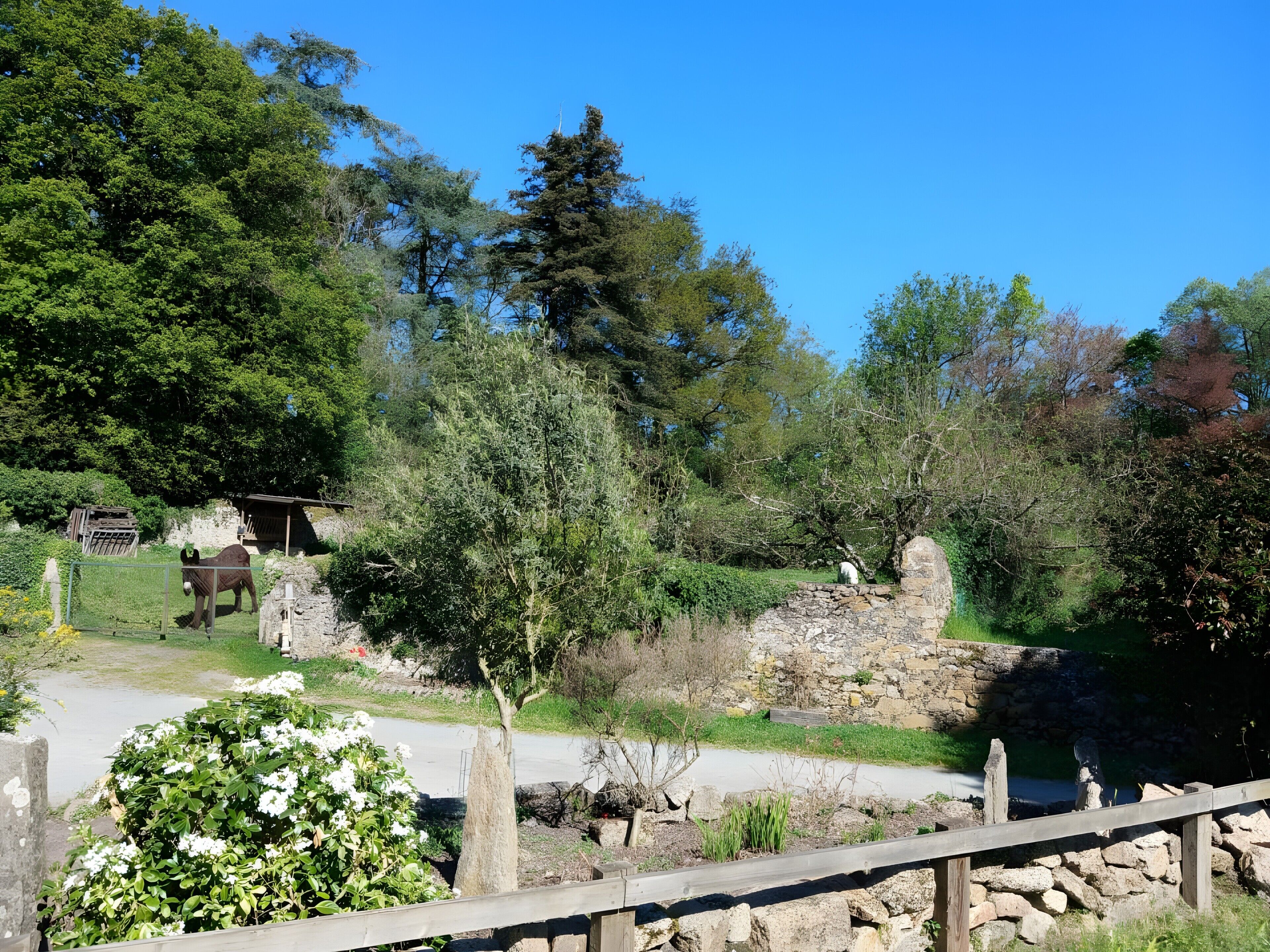 A stone wall, a wooden fence, and a horse in a green landscape.