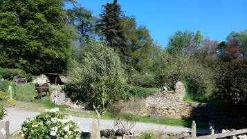 A stone wall, a wooden fence, and a horse in a green landscape.