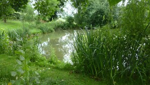 A serene pond surrounded by lush greenery and trees.