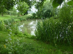 A serene pond surrounded by lush greenery and trees.