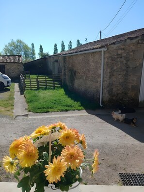 A rural setting with a paved path, a stone wall, and a parked car.