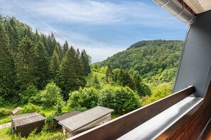 A balcony with a view of a forested hillside. - Apartment 'Haus Behrendt' with Mountain View, Balcony and Wi-Fi (Walkenried)
