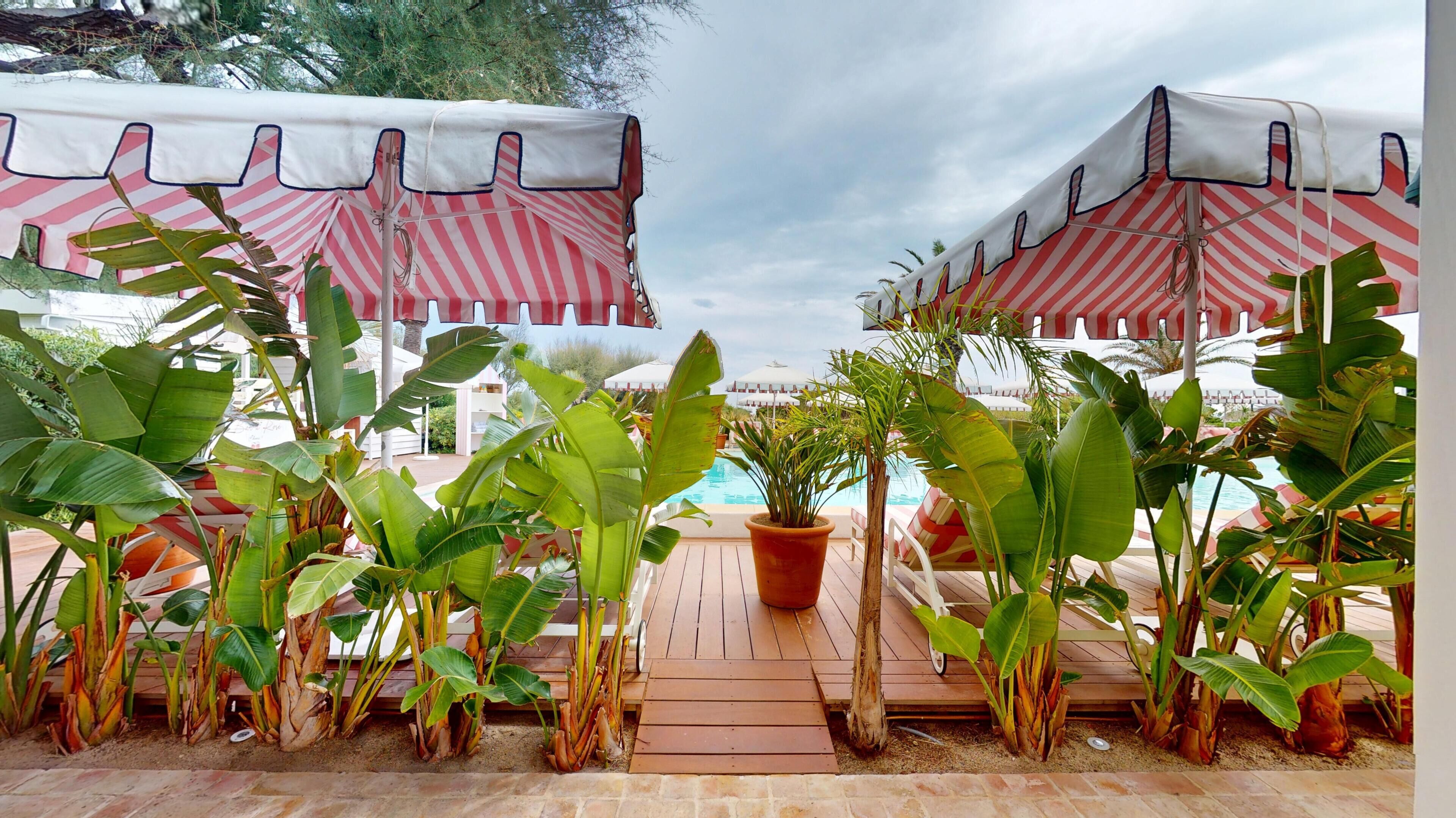 Deluxe Room, Pets allowed, Pool View | Terrace/patio