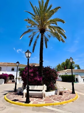 A palm tree, benches, and a building with a tiled roof.