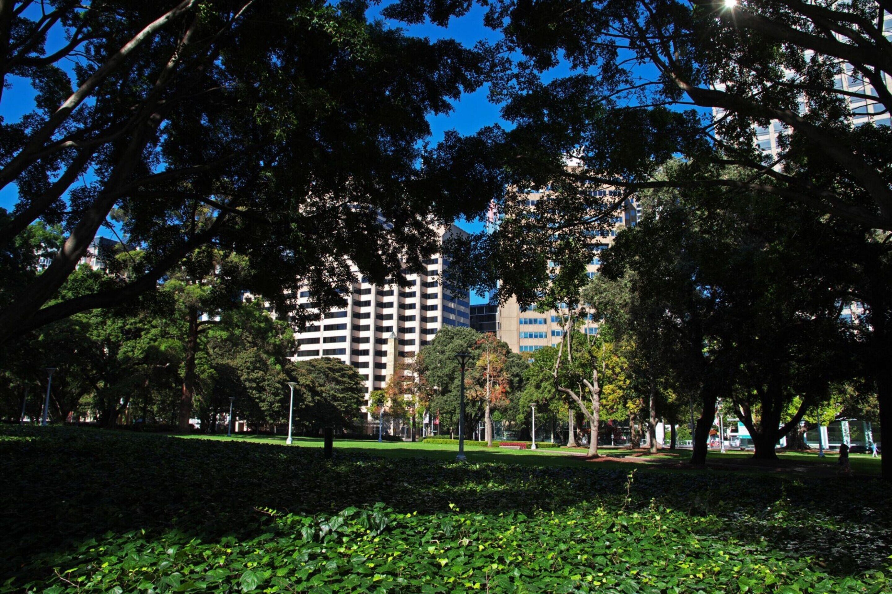 Ein Park mit Bäumen, einer Rasenfläche und einem Gebäude im Hintergrund.