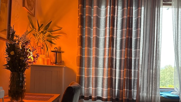 A room with a dining table, a chair, a sofa, a window with curtains, and a plant. - Apartment Sleeps 2 With Parking (Aberdeen)