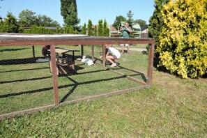 A fenced area with a table and chairs, surrounded by greenery and trees. - Cottages With a Pool for 5 People (Kamien Pomorski)