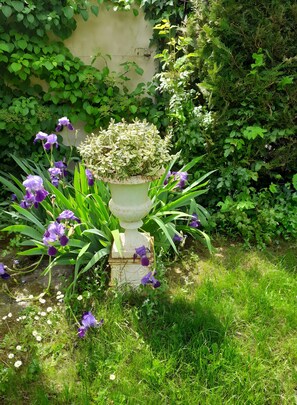 A garden with a white urn planter, purple flowers, and green foliage.