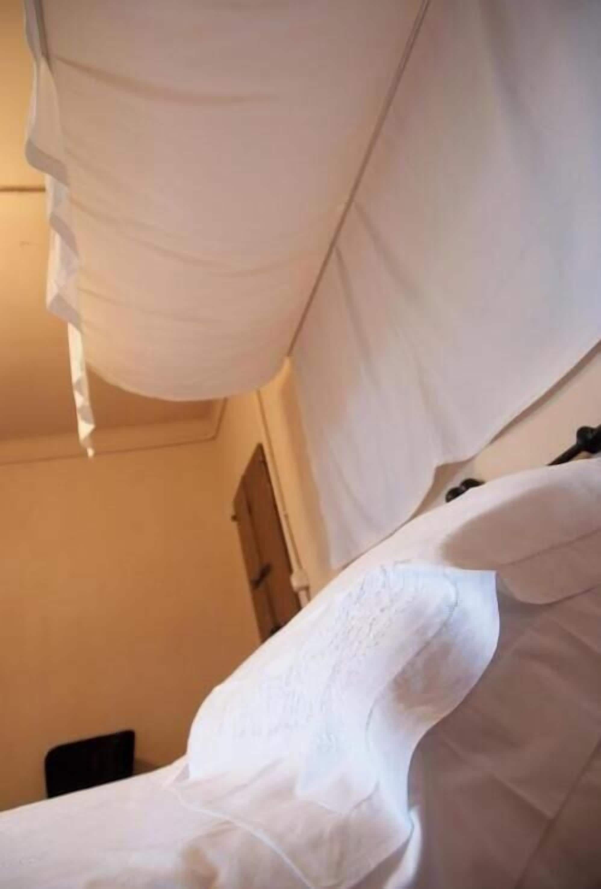 Comfort Double Room, Garden View | Interior