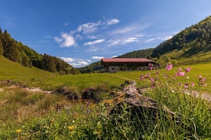 Ländliche Szenerie mit einem Holthaus, einer Wiese und einem bewaldeten Hügel.