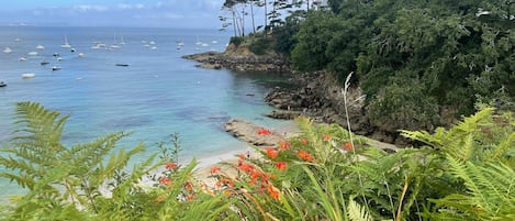 Plage