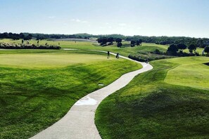 Ein Golfplatz mit einem gewundenen Weg, saftigem Grün und Bäumen in der Ferne.