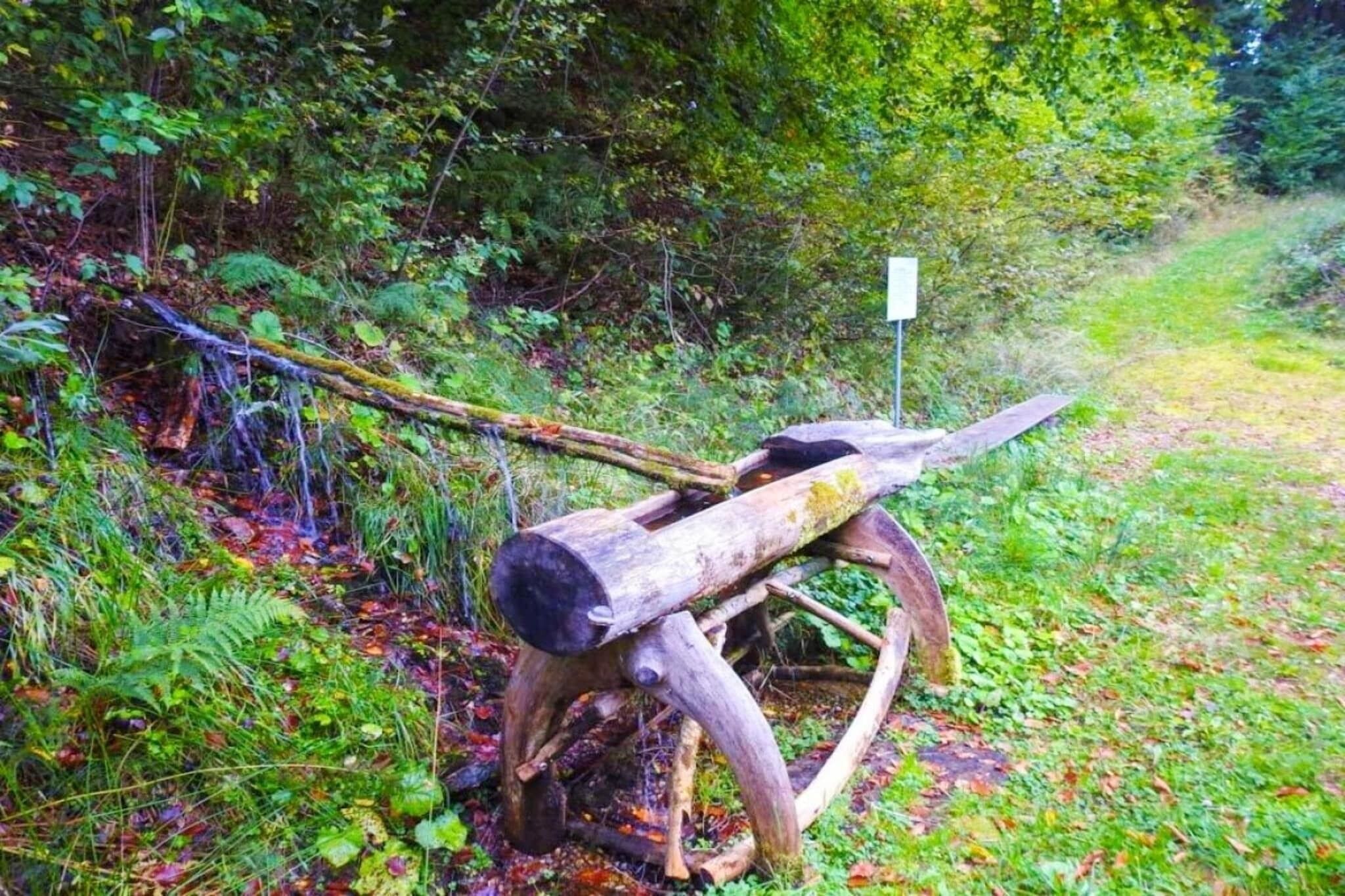 Une construction rustique en bois, située dans une zone boisée.