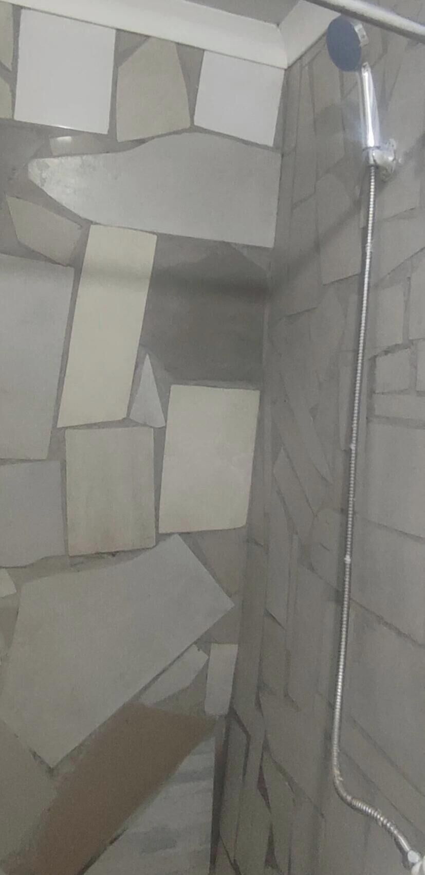 Shower, bidet, towels, toilet paper