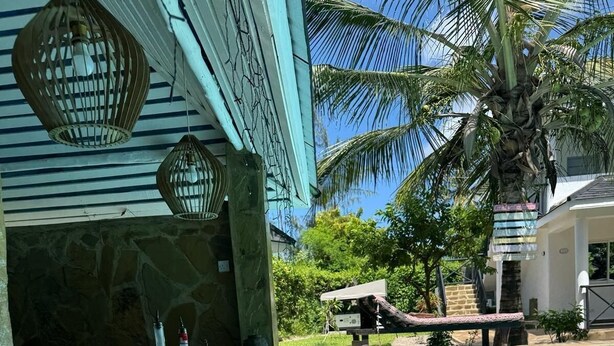 A poolside bar with stone steps leading into the water, a palm tree, and a stone wall.