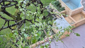 Un jardín con un árbol, un banco y un muro.