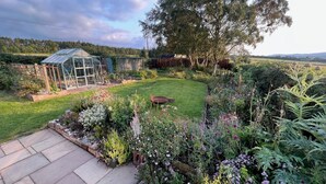Ein Garten mit Gewächshaus, Rasen und verschiedenen Pflanzen.