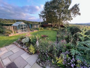Ein Garten mit Gewächshaus, Rasen und verschiedenen Pflanzen.