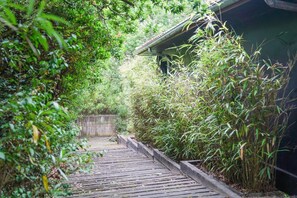 Un sentier en bois mène à un bâtiment entouré d’une végétation luxuriante et de bambous.