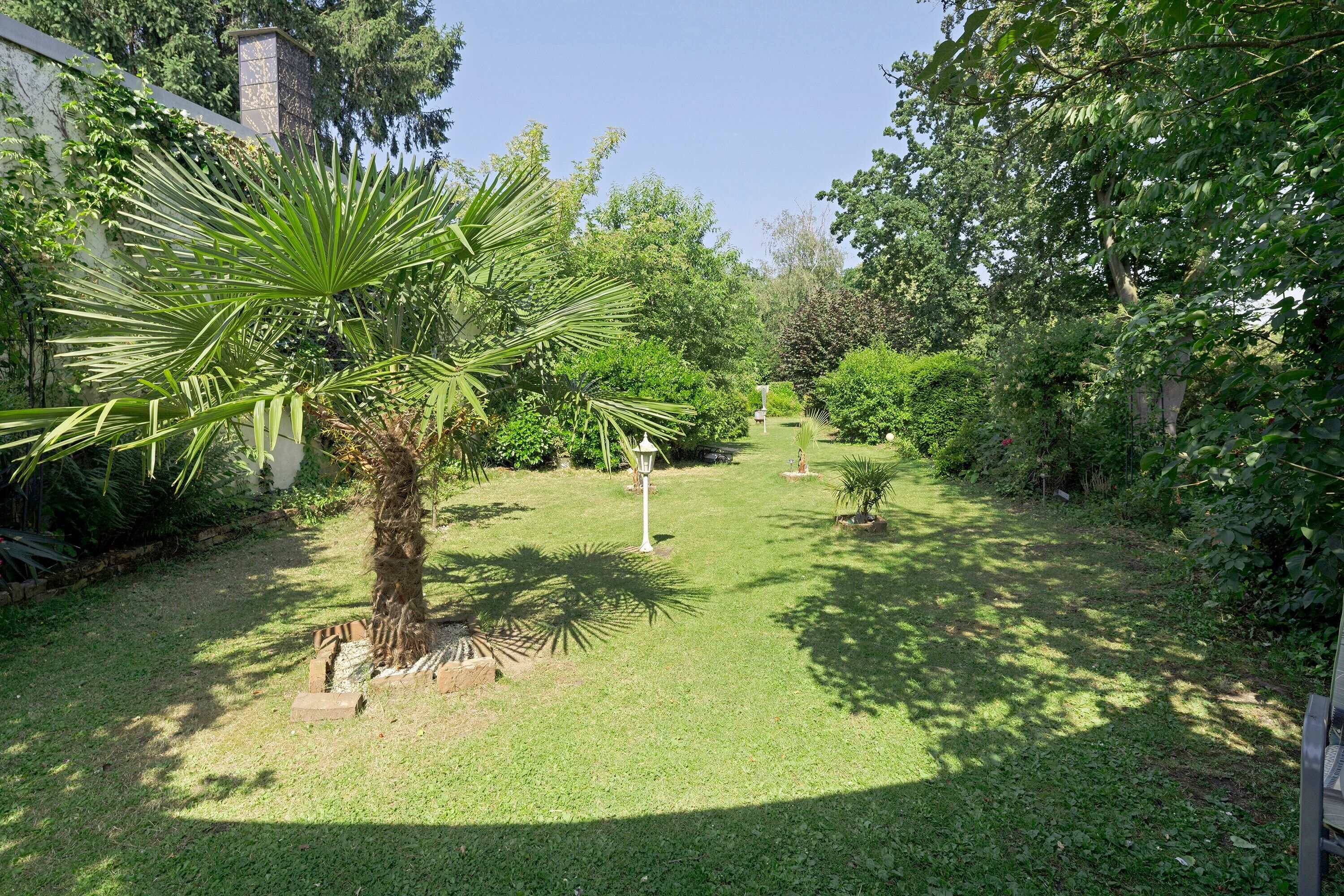 Ein Garten mit einer Palme, einem Weg und verschiedenen Sträuchern.
