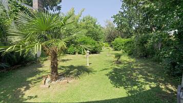 Ein Garten mit einer Palme, einem Weg und verschiedenen Sträuchern.