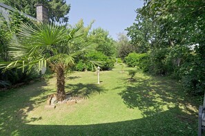 A garden with a palm tree, a pathway, and various shrubs.