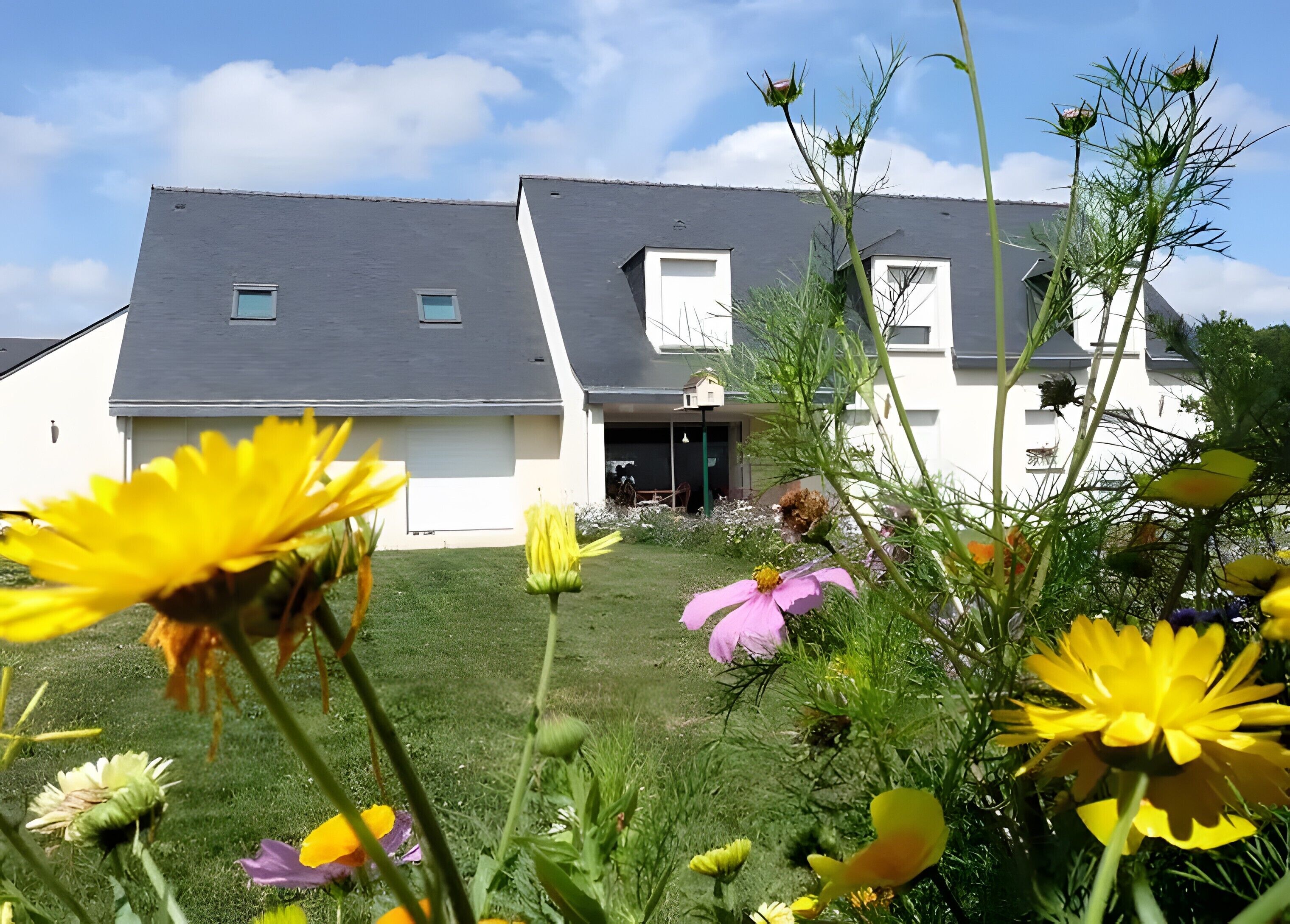 Terrein van de accommodatie