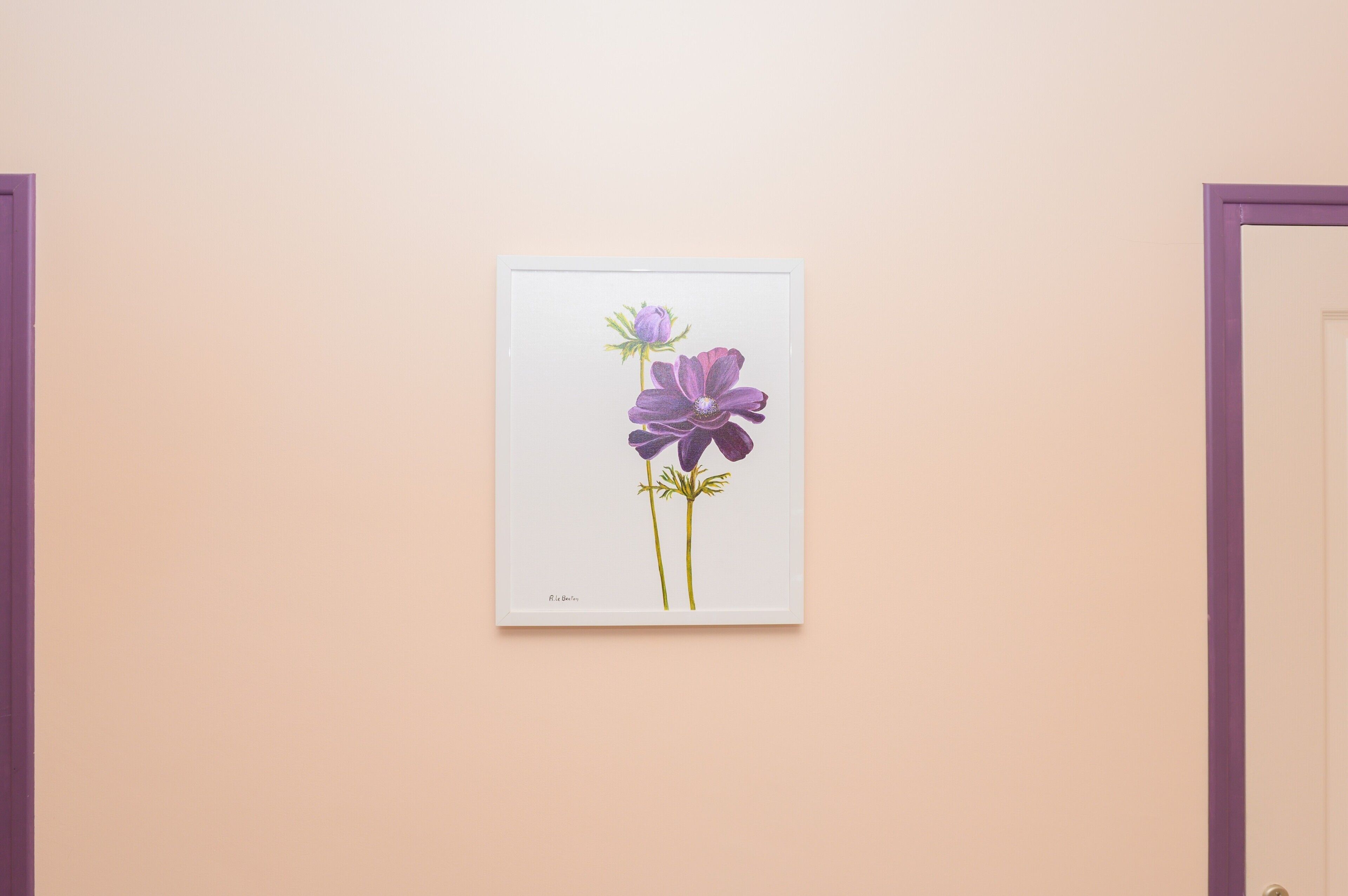 Une illustration botanique encadrée, accrochée au mur.