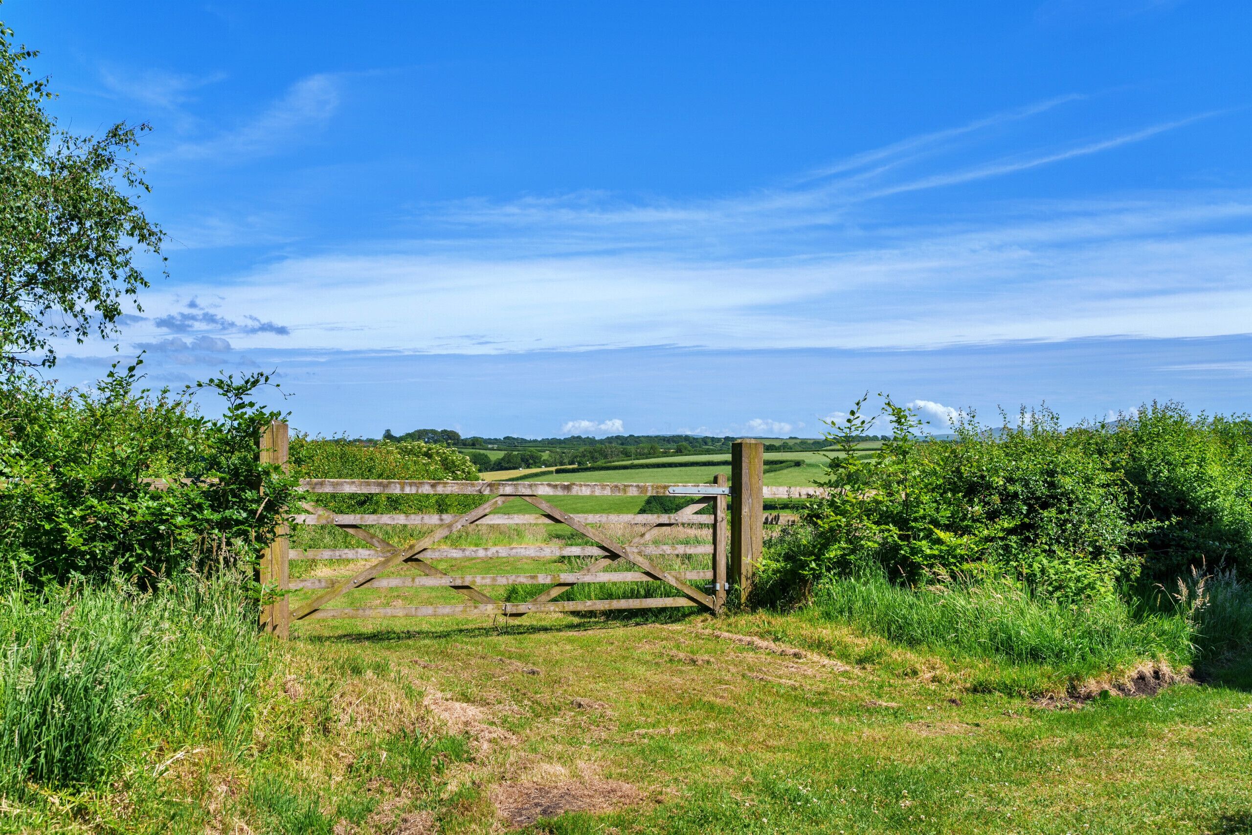 A wooden gate in a grassy field with a clear sky.
