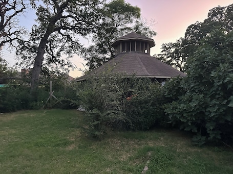 A gazebo with a tiled roof, surrounded by dense foliage and a grassy area.. 2-bedroom home in Irving. Large backyard w/ fig trees & chickens for fresh eggs.