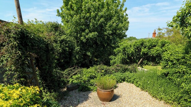 Un jardí amb un camí de grava, diferents plantes i un arbre gran.
