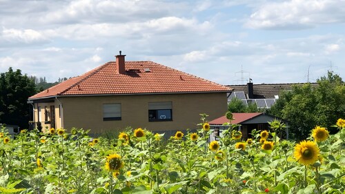  Komfortable Ferienwohnung Carpe Diem