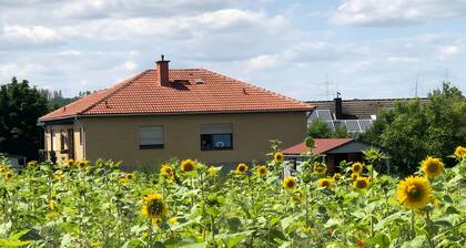 Komfortable Ferienwohnung Carpe Diem