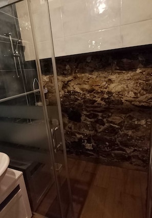 Un baño con cabina de ducha de vidrio, pared de piedra y suelo de madera.