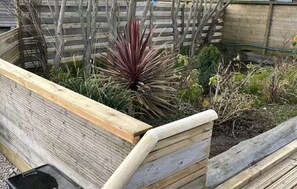 A wooden garden bed with a variety of plants, including a prominent red-leafed plant.