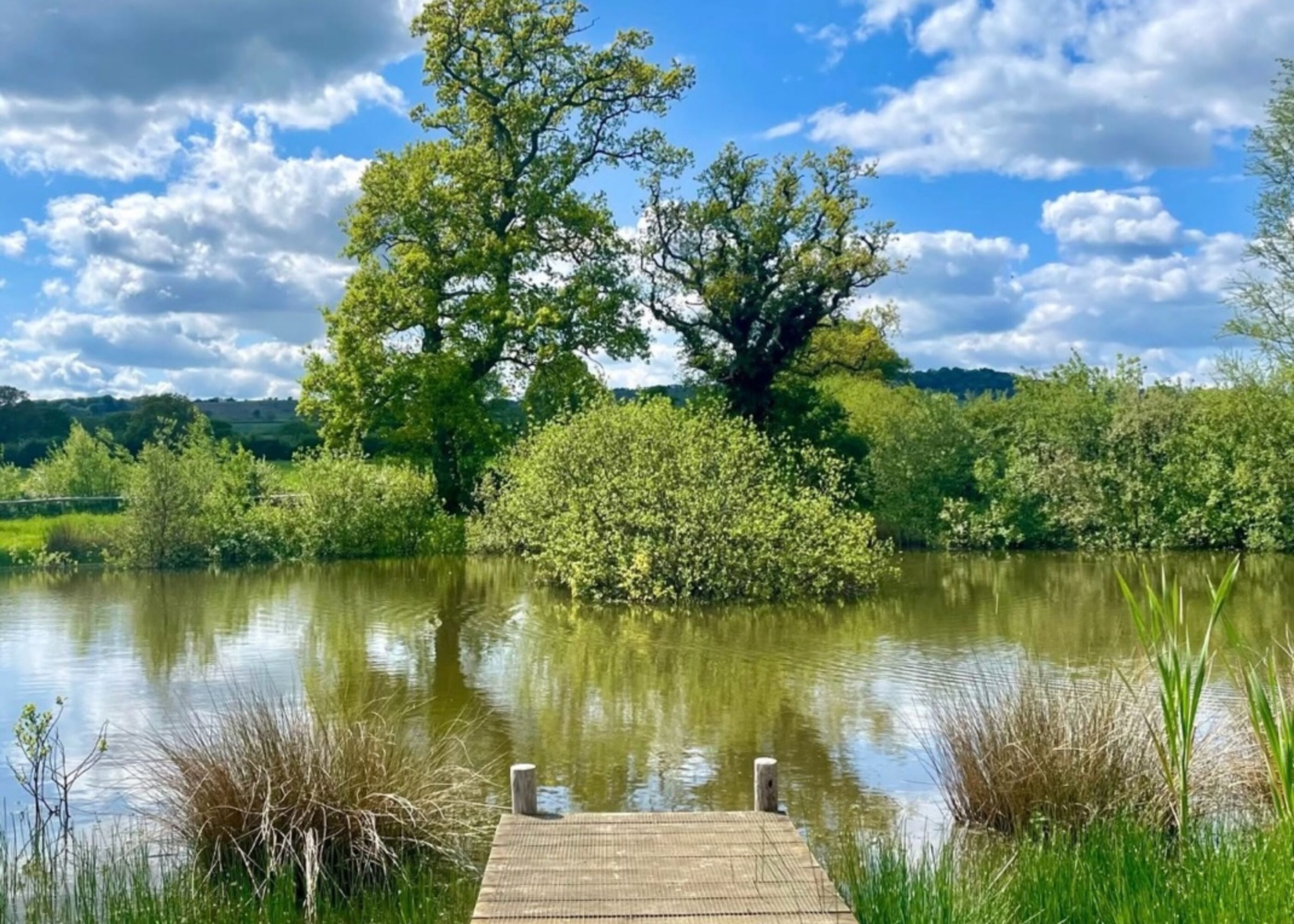 Un lago tranquilo con un muelle de madera, rodeado de abundante vegetación y árboles.